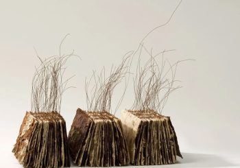 Special Workshop: Techniques and Materials: Artmaking, Prints and Bookbinding